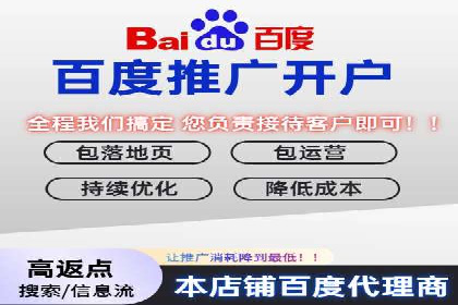 竞价SEM托管案例：精准营销的利器